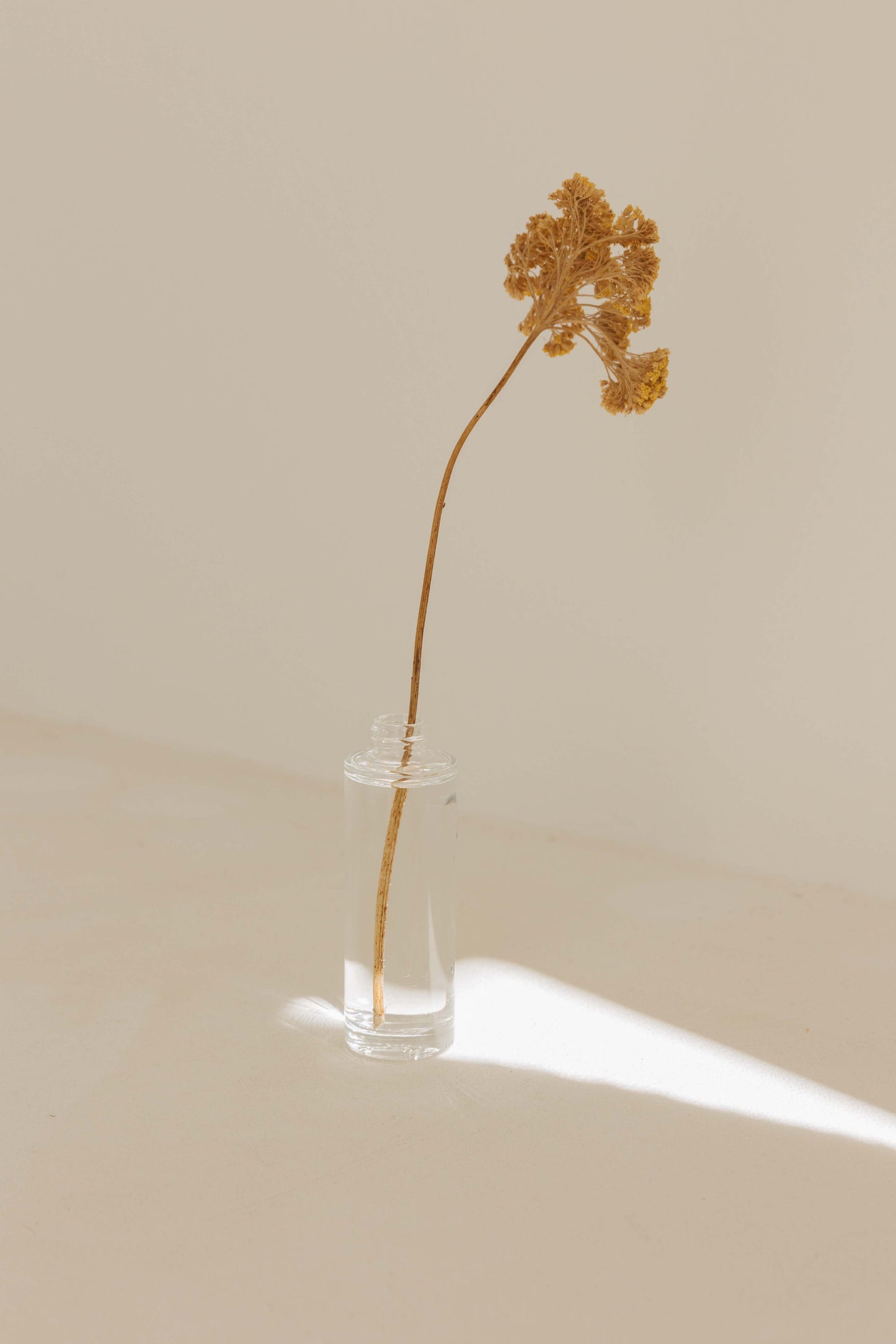 Mockup flacon spray en verre