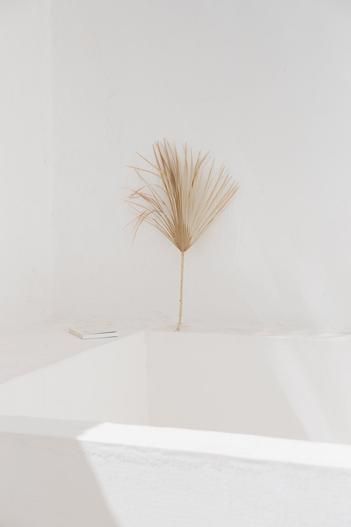 Creative studio desk with moodboard and sketchbook — honest account of starting a branding studio