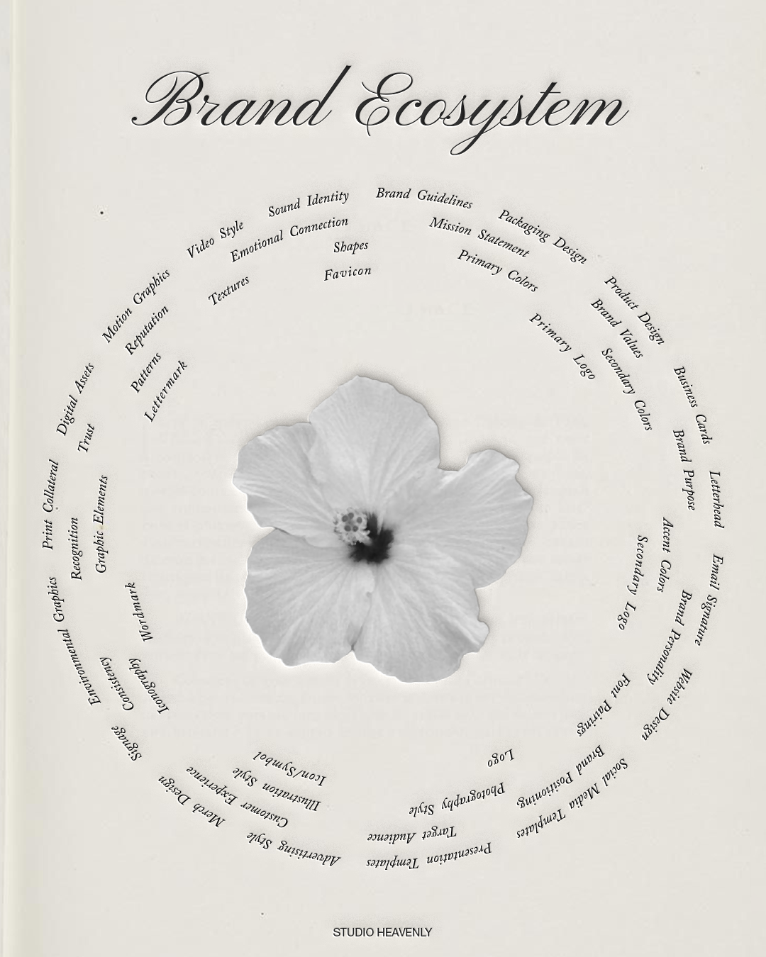 Understanding Your Brand Ecosystem: Why Your Business Needs More Than Just a Pretty Logo