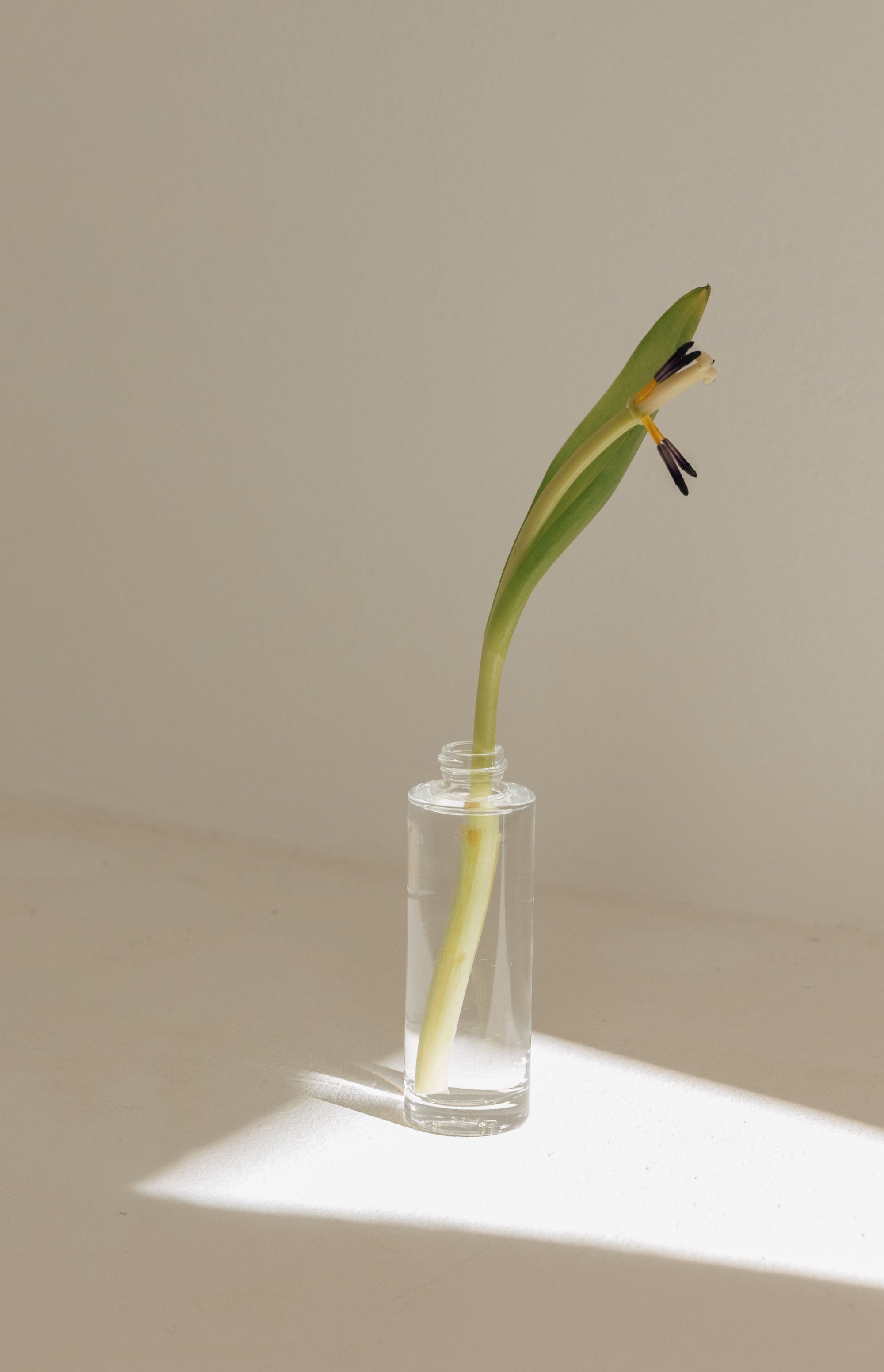 Glass Spray Bottle Mockup