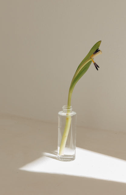 Mockup flacon spray en verre