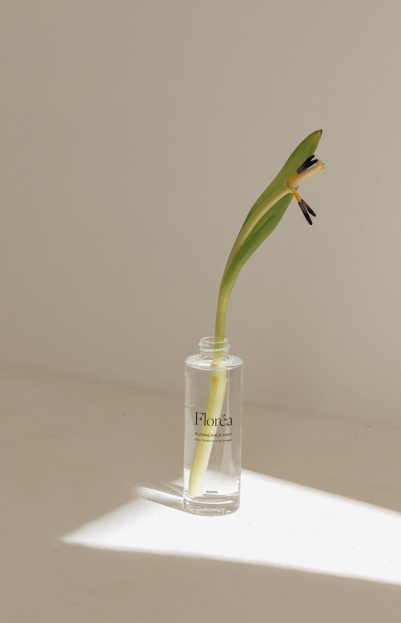 Mockup flacon spray en verre