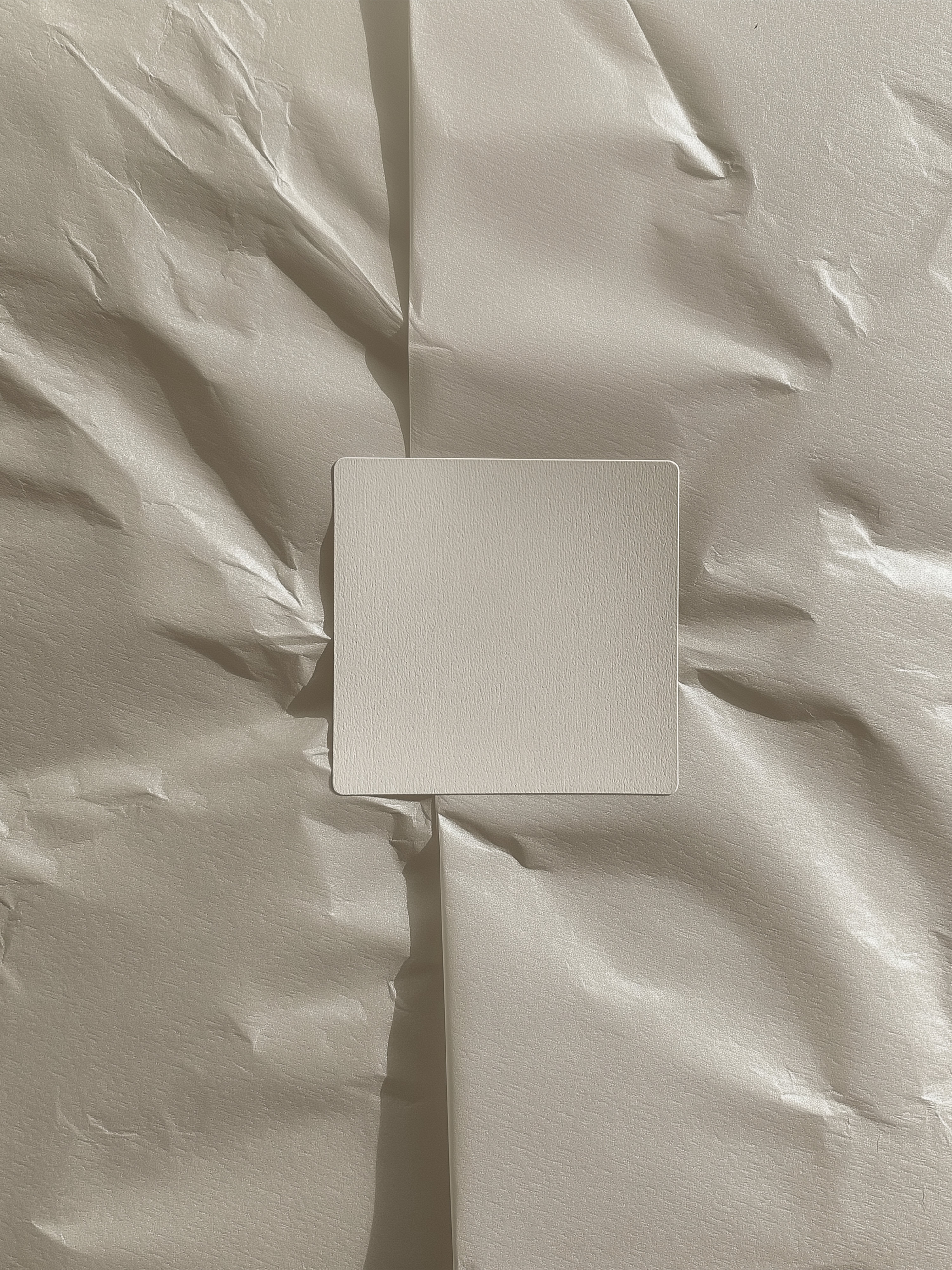 Tissue Paper and Sticker Mockup